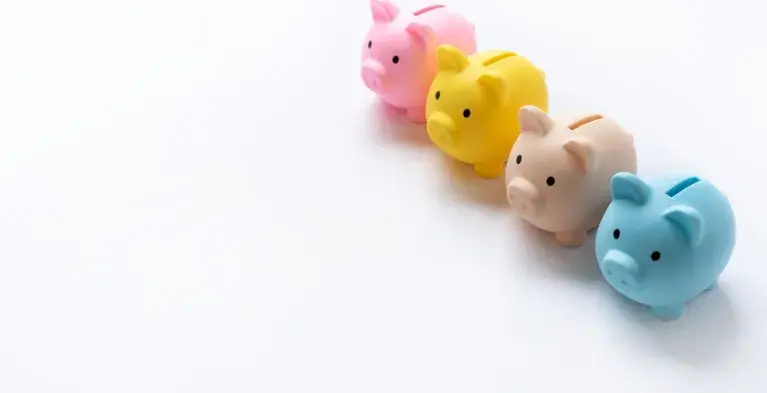 Ledenacties spaarvarken