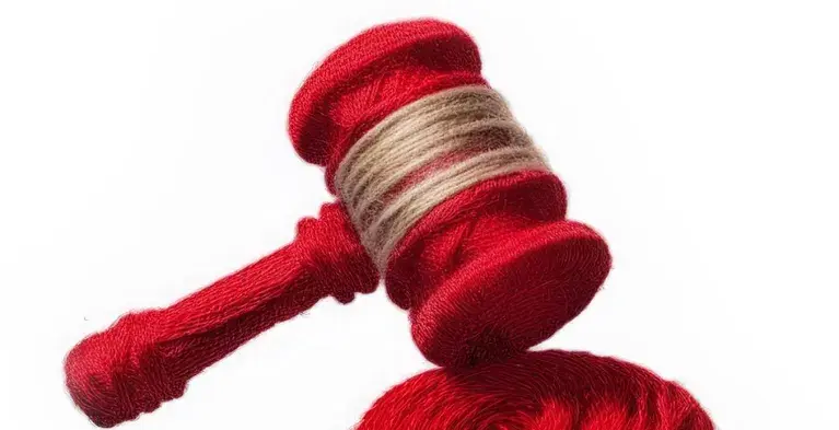 Hamer jurisprudentie