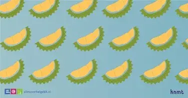 Afbeelding verwijderd.