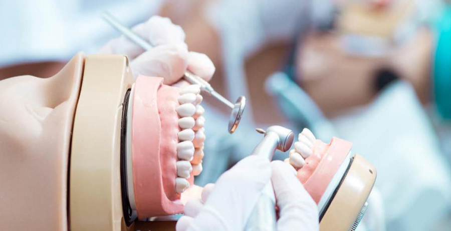 Verkorting opleiding Tandheelkunde: ministers negeren negatief advies
