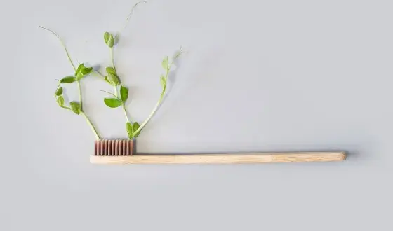 Duurzame tandenborstel waar een plant uit groeit