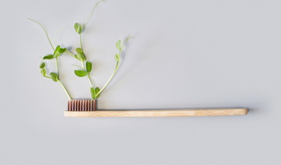 Duurzame tandenborstel waar een plant uit groeit