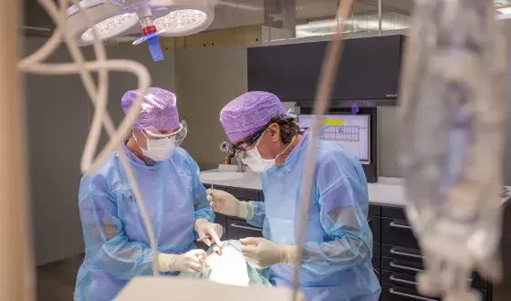 Staas en Bergmans tandartsen Den Bosch