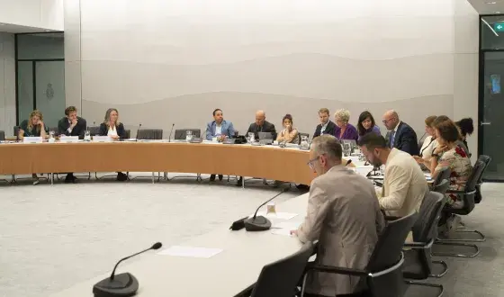 Hoorzitting in de Tweede Kamer