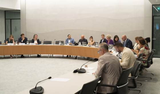 Hoorzitting in de Tweede Kamer