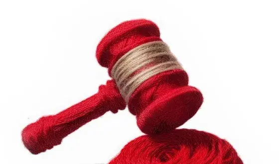 Hamer jurisprudentie