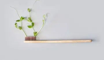 Duurzame tandenborstel waar een plant uit groeit